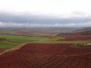 Vista campo de Montiel